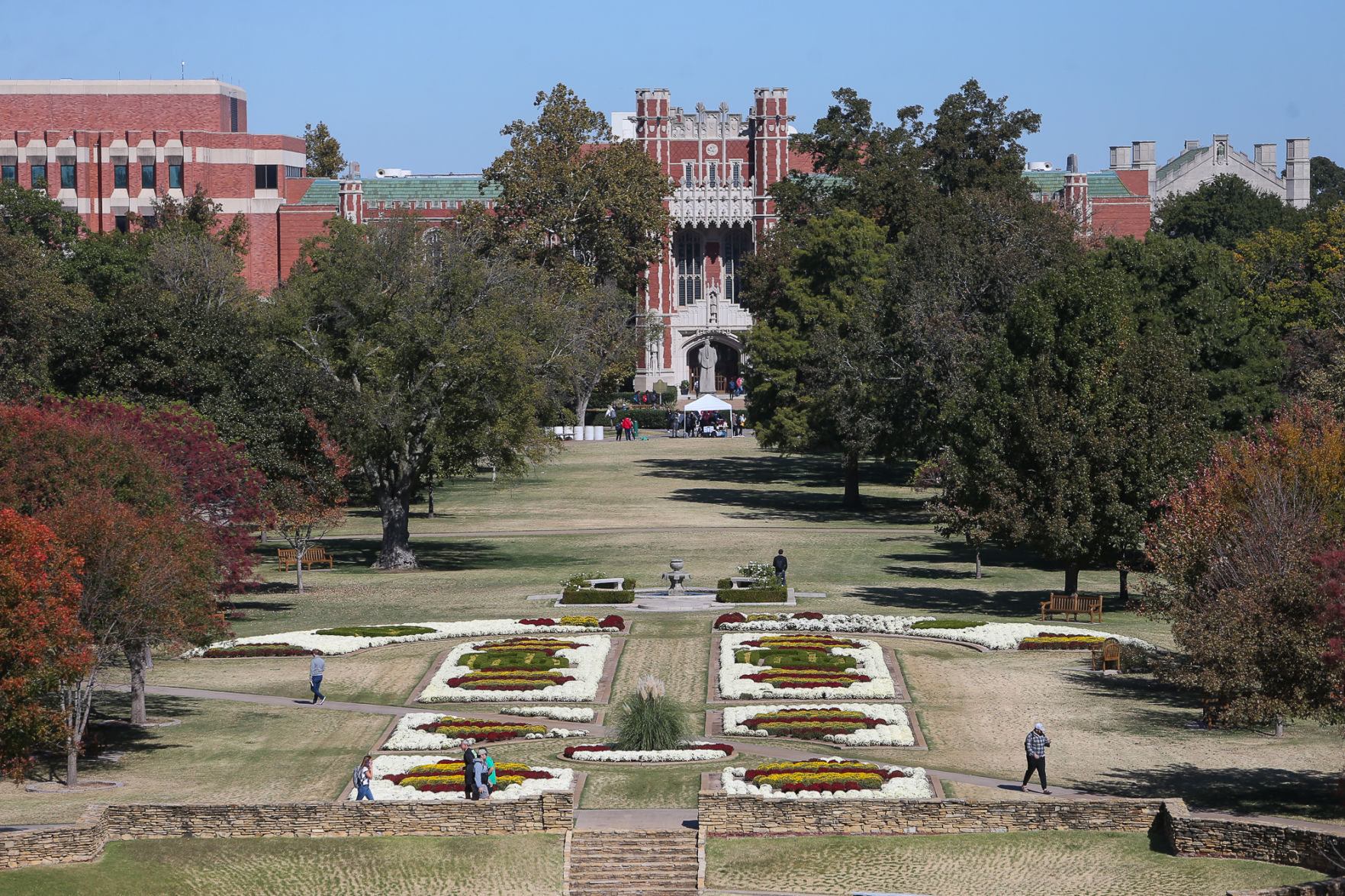 South Oval Mums